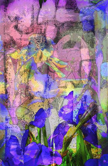 Irises