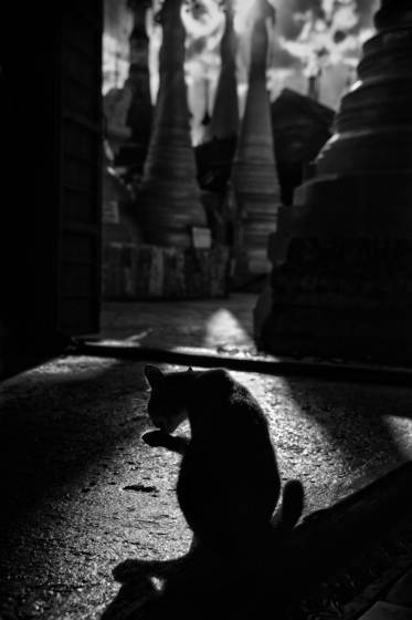 The_prayer