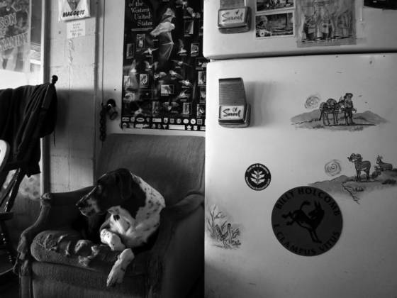 Our_home