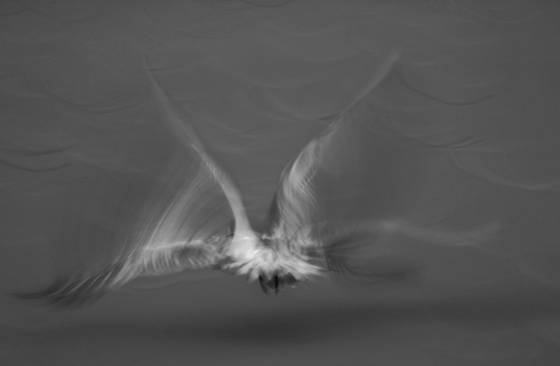 In_flight