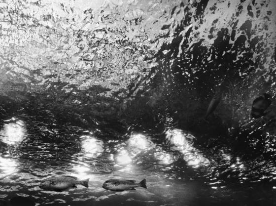 Vortex_2