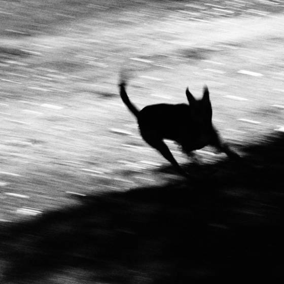 Untitled_6