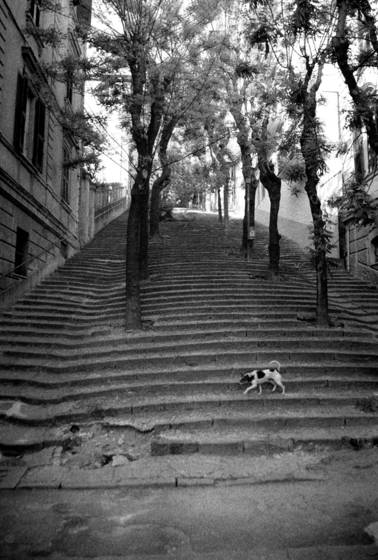La_spezia