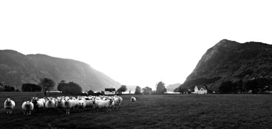 The_fjord