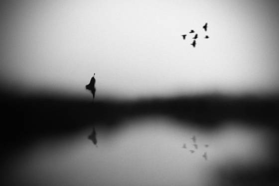 Conscience