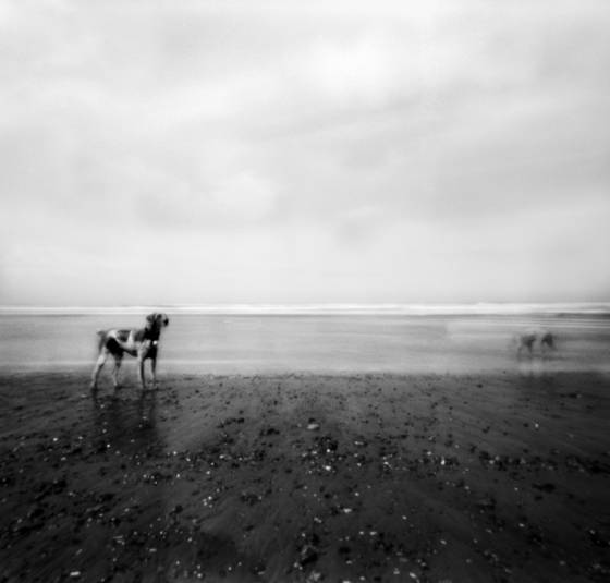 Traces_xxxviii