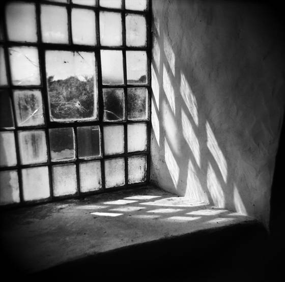 Window