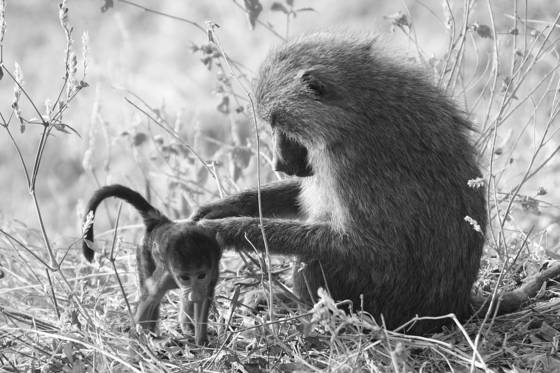 Motherhood