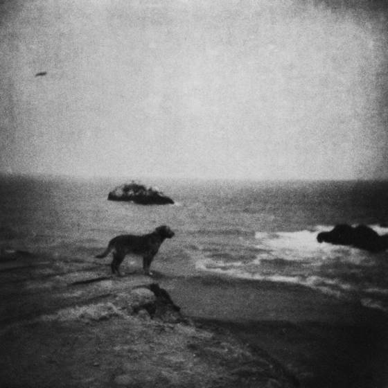 Betwen_the_cliff_rise_and_the_beach