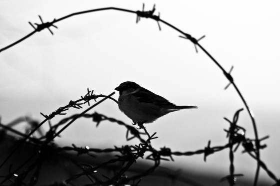 Untitled_6