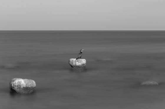 Solitude