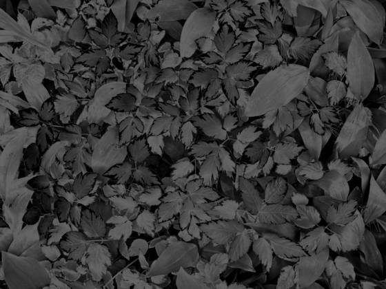 Untitled_10