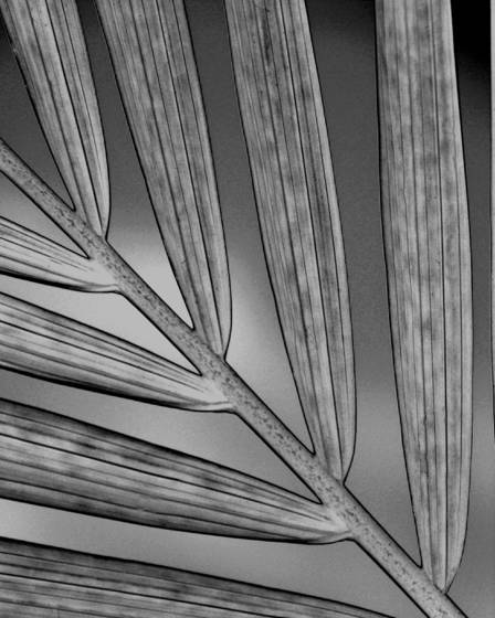 Untitled_11