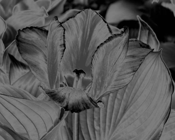 Untitled_2