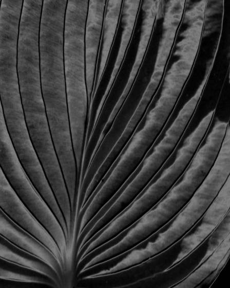 Untitled_4