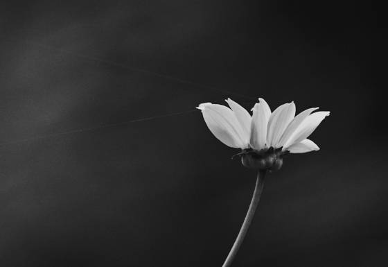 Tethered