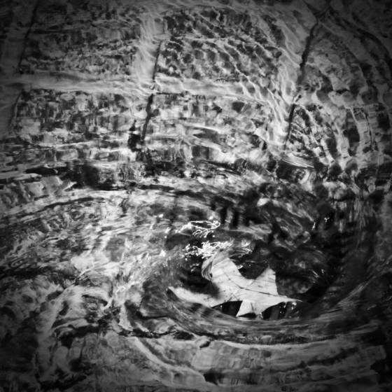 Leaf_in_whirlpool
