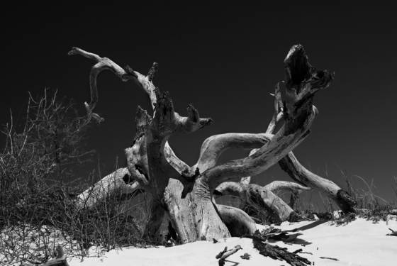 Untitled_1