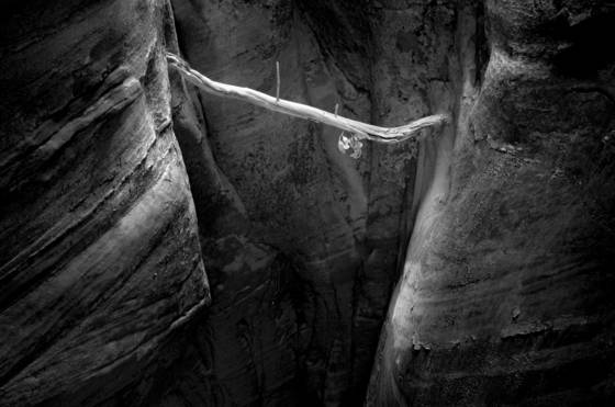 Hanging_stick