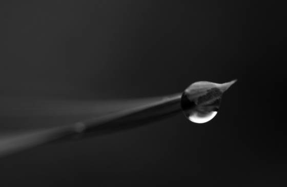 Ether