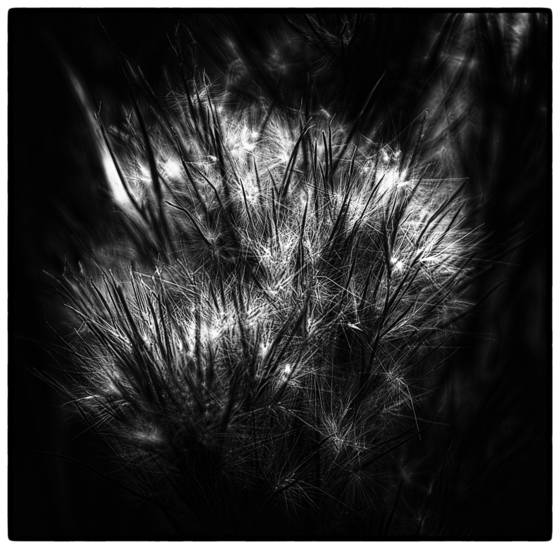 Untitled_11