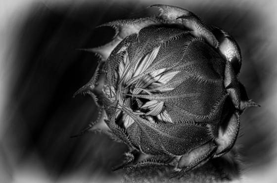 Untitled_2