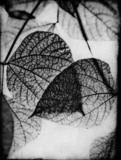 Untitled_1