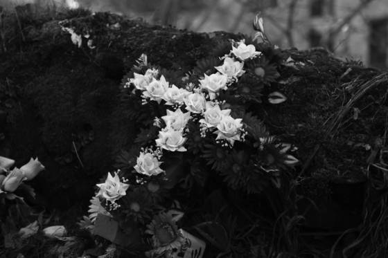 Hidden_meaning