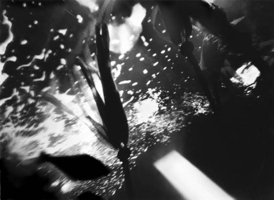 Dancing_sea