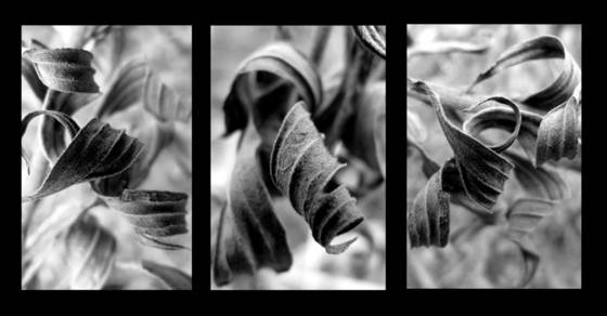 Untitled_2