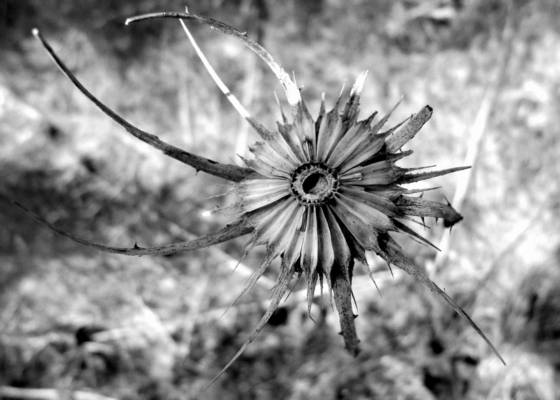 Untitled_3