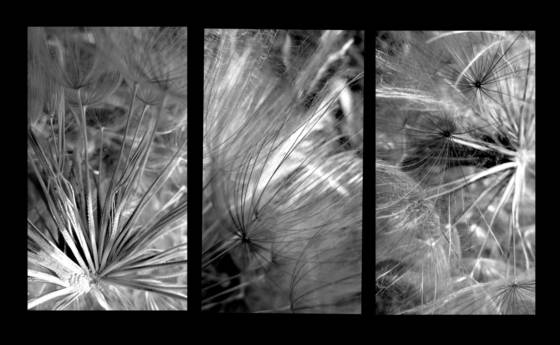 Untitled_4