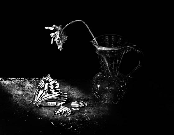 Fallen_angel