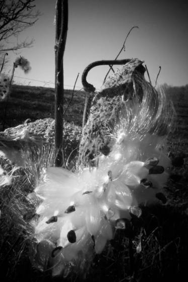 Untitled_2