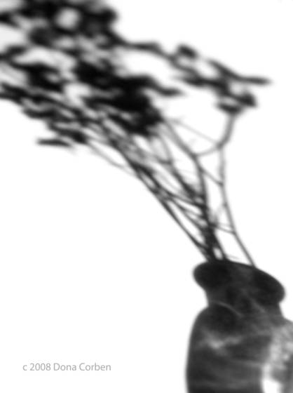 Shadow_of_itself