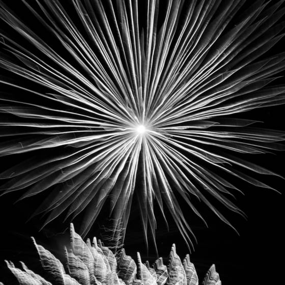 Pyrotechnic_2