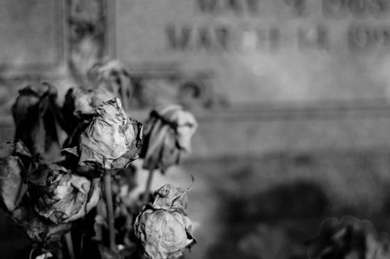Wilted