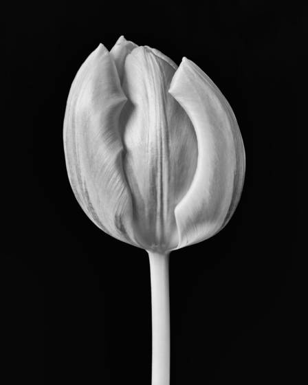 Untitled_11