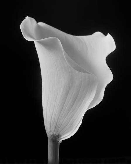 Untitled_16