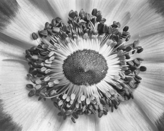 Untitled_5