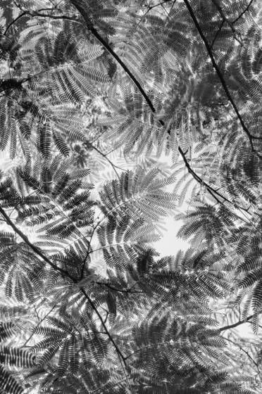 Patterns