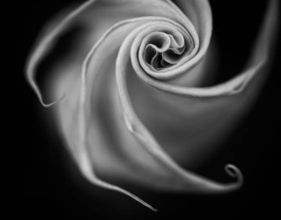 Twirl