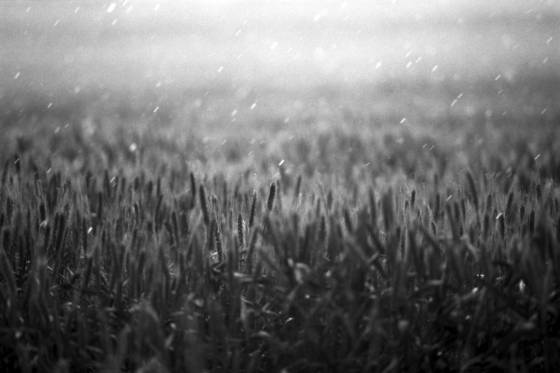 Summer_storm
