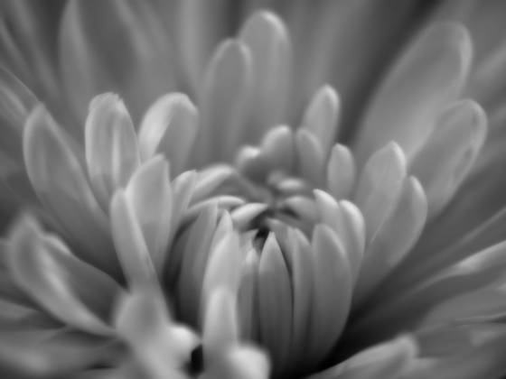 Untitled_3