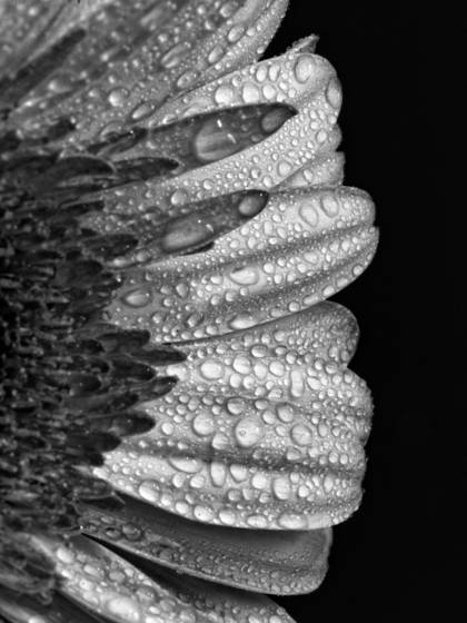 Untitled_6