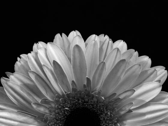 Untitled_8