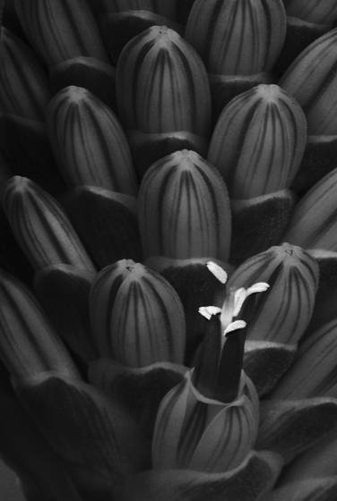Early_promise_3
