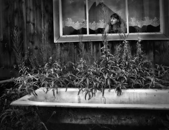 Untitled_5