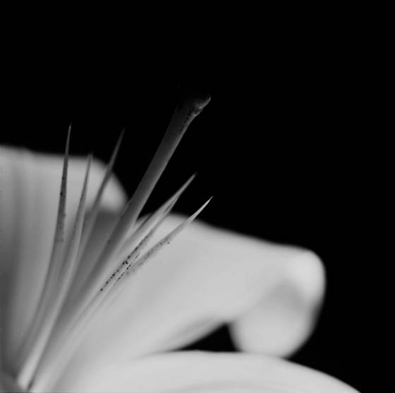 Tenderly