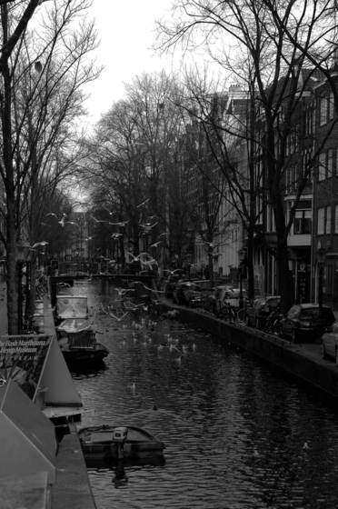 Gathering_on_the_canal